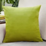 Housse de Coussin Velours 50x50cm Vert Pomme